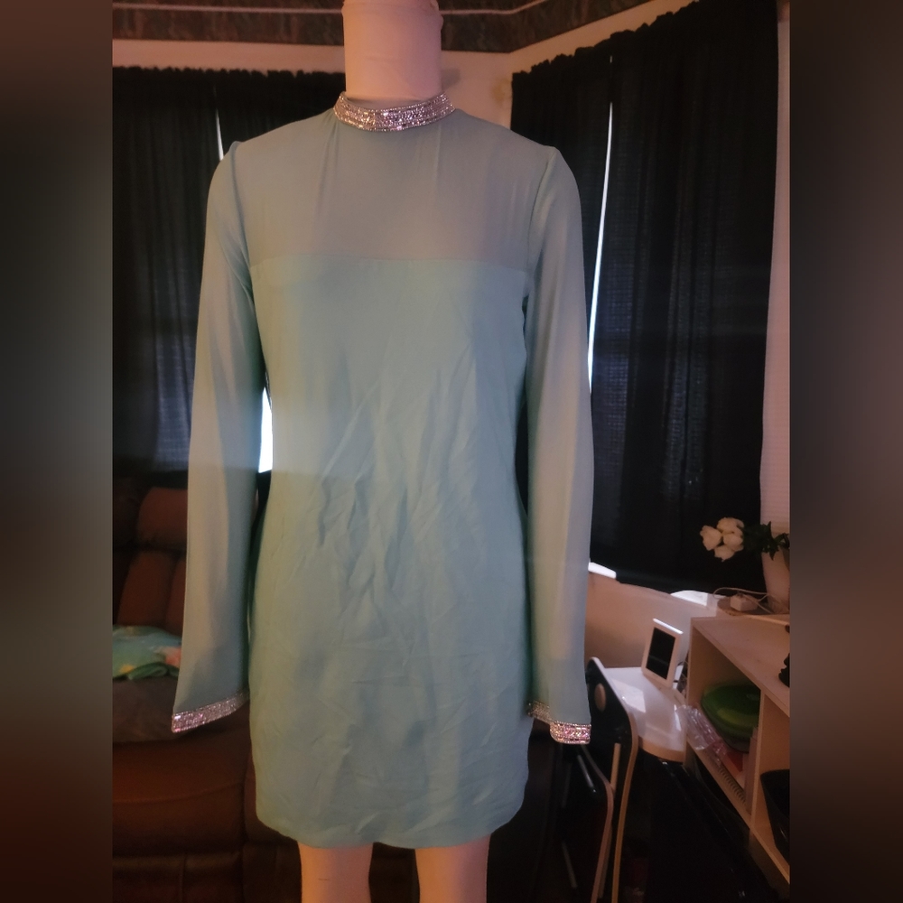 Bebe mesh dress